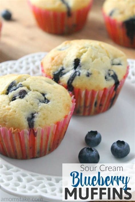 sour-cream-blueberry-muffins-recipe-a-moms-take image