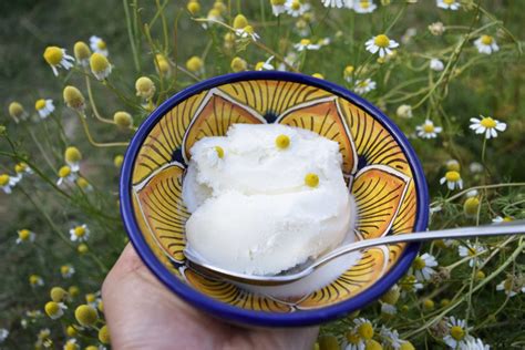 chamomile-ice-cream-recipe-an-edible-flower-dessert image