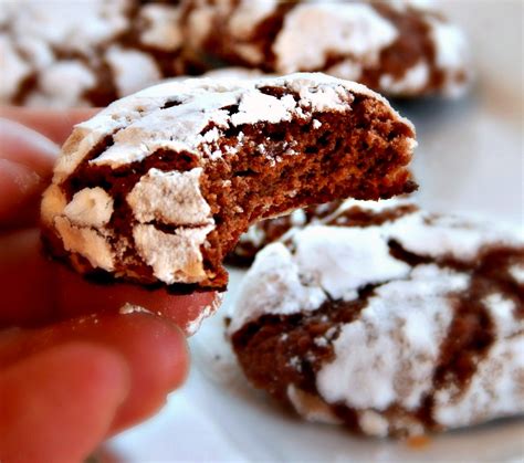 cocoa-snowflake-cookies-frugal-hausfrau image