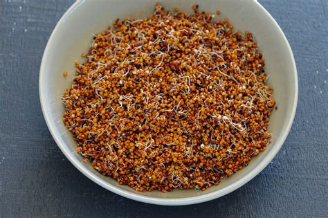 raw-vegan-savory-sprouted-quinoa-salad-recipe-the image