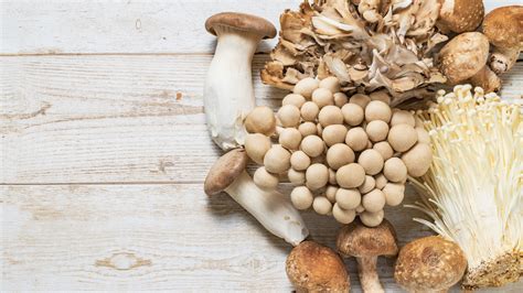 14-edible-mushroom-varieties-and-how-to-cook-with image