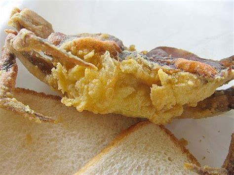 a-beginners-guide-to-soft-shell-crabs-serious-eats image