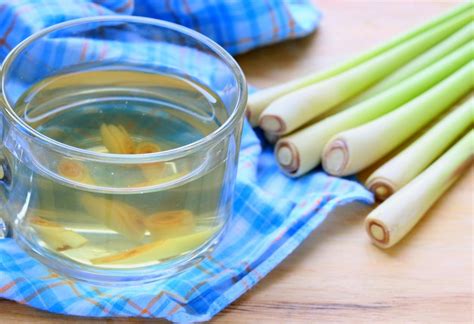 lemongrass-tea-benefits-uses-and-recipe-medical image