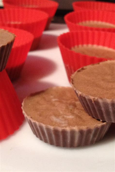 frozen-protein-peanut-butter-cups-recipe-the-protein image