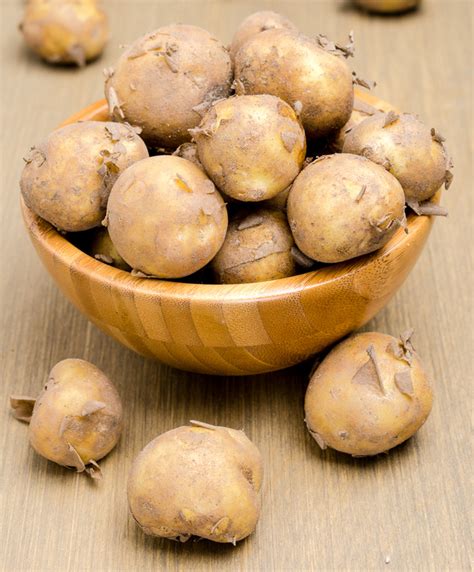 new-potatoes-about-nutrition-data-photos-where-found image