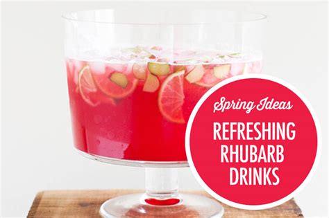 refreshing-rhubarb-drink-recipes-food-bloggers image