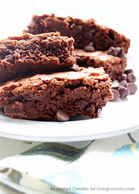 best-double-chocolate-chip-brownies-recipe-living image