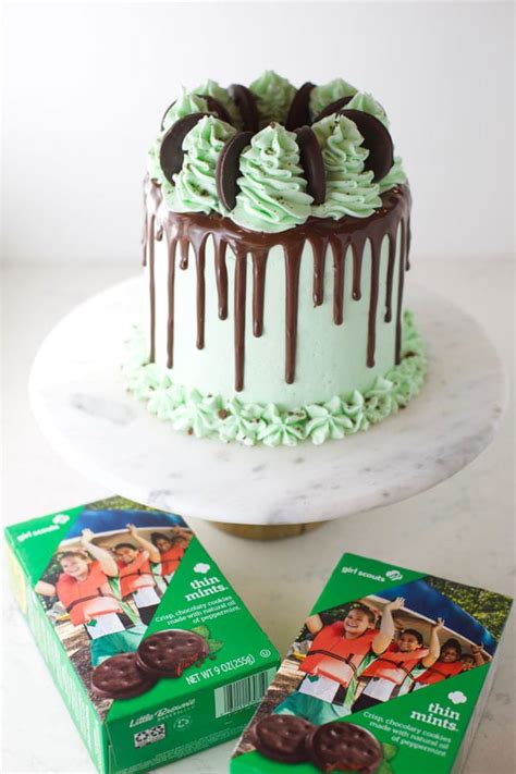 girl-scout-thin-mint-cake-mom-loves-baking image