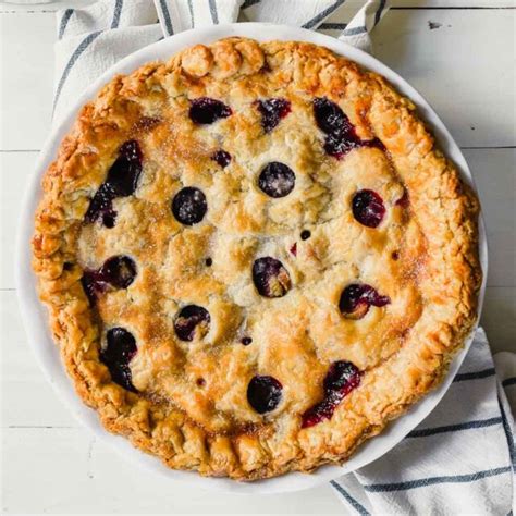 the-best-blueberry-rhubarb-pie-zestful-kitchen image
