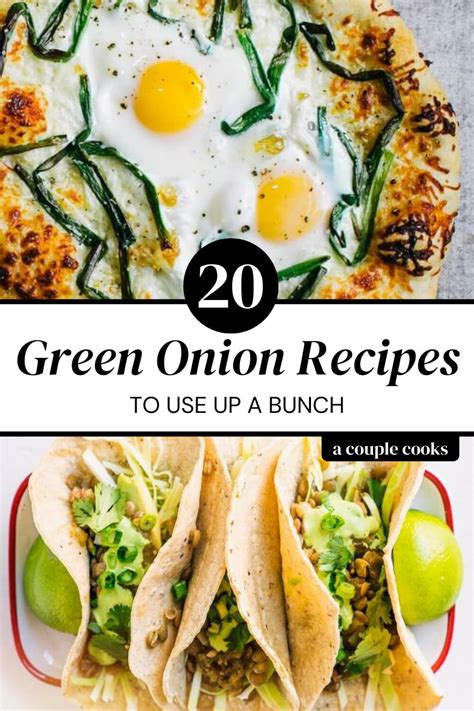 20-green-onion-recipes-to-use-up-a-bunch-a-couple image