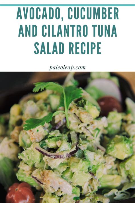 avocado-cucumber-and-cilantro-tuna-salad image