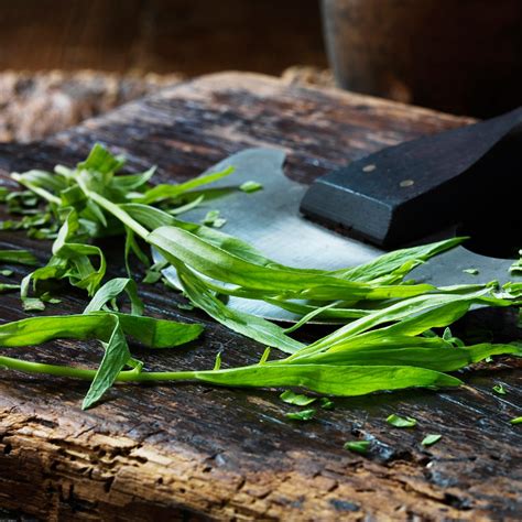 40-recipes-to-make-with-tarragon image