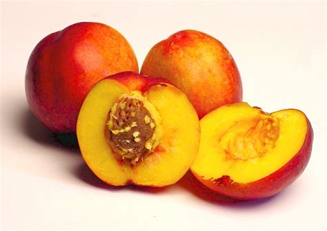 nectarines-only-foods-all-about-food image