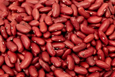 why-you-should-never-cook-kidney-beans-in-a-slow image