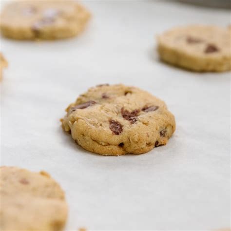 chocolate-chip-oatmeal-refrigerator-cookies-wyse image