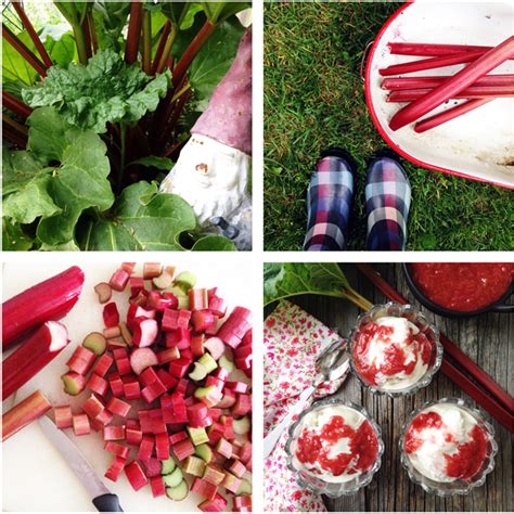 easy-stewed-rhubarb-a-pretty-life-in-the-suburbs image