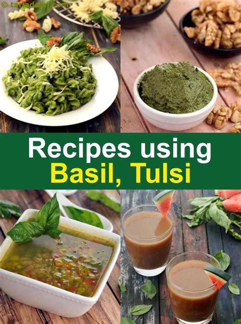 397-basil-recipes-indian-basil-tulsi-recipes-tarladalalcom image