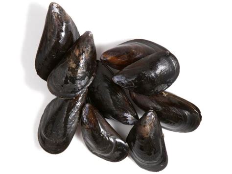 a-guide-for-buying-and-cooking-mussels-food-network image