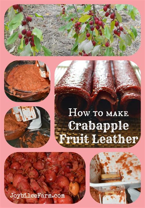 how-to-make-crabapple-fruit-leather-joybilee-farm image
