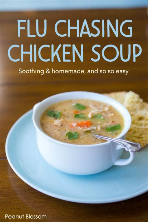 homemade-chicken-soup-for-flu-season-peanut-blossom image