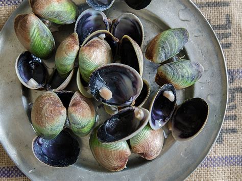 fresh-clam-chowder-recipe-oh-thats-good image