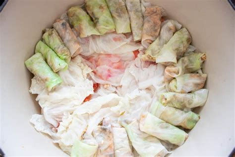egyptian-mahshi-crumb-stuffed-cabbage-rolls-the image