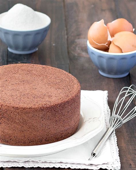 chocolate-italian-sponge-cake-as-easy-as-apple-pie image