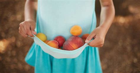 apricot-vs-peach-whats-the-difference-healthline image