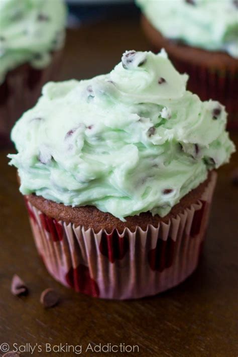 chocolate-cupcakes-with-mint-chip-frosting-sallys image