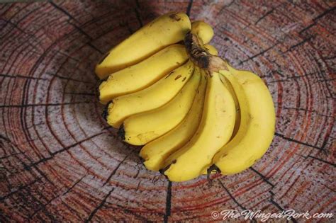 kele-ki-barfi-indian-ripe-banana-dessert-the-winged image