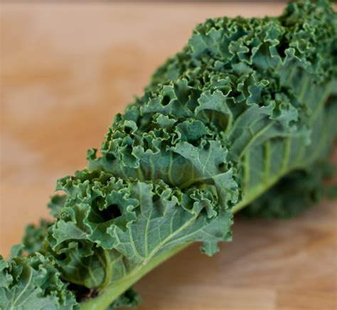 lick-my-spoon-superfood-kale-healthy-kale-and image