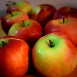 maple-bourbon-apple-crisp-the-baking-tour-guide image