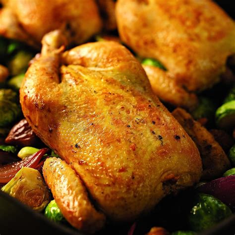 game-hens-with-brussels-sprouts-chestnuts image