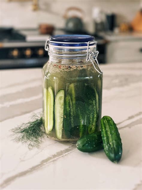 no-cook-refrigerator-pickles-quick-the image