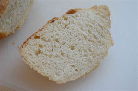 bread-toast-crumbs-no-knead-peasant-bread-famous image