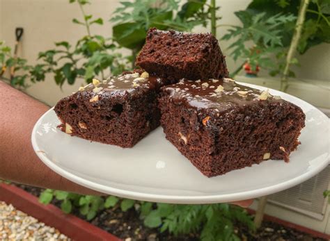 fluffy-brownies-with-chocolate-frosting-that-fiji-taste image