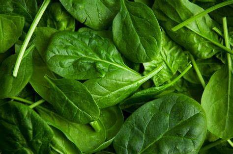 spinach-nutrition-health-benefits-and-diet image