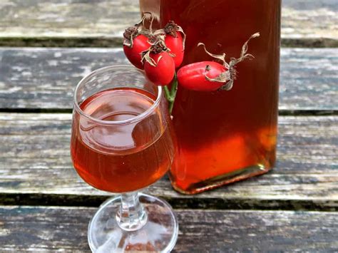 how-to-make-a-delightful-rosehip-liqueur-craft image