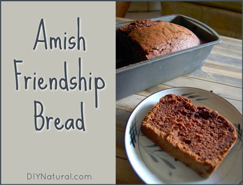 amish-friendship-bread-my-grandmothers-delicious-traditional image