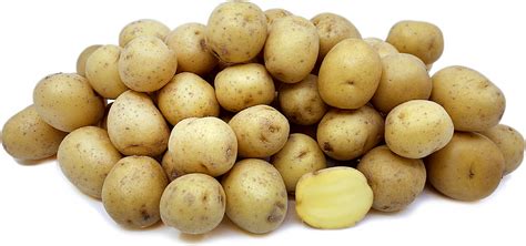 marble-potatoes-information-recipes-and image