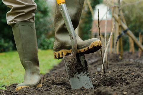 how-to-make-comfrey-feed-bbc-gardeners-world-magazine image