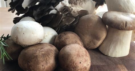 mushroom-hot-pot-growing-chefs-ontario image