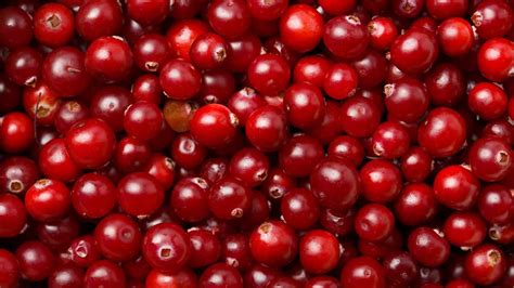 whats-in-season-cranberries-canadian-food-focus image