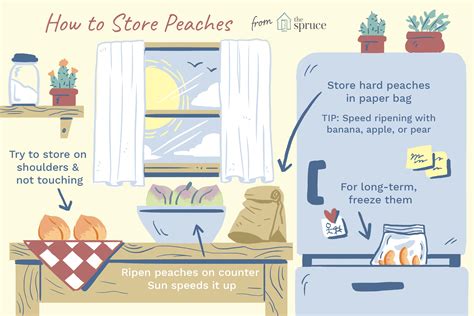 the-right-way-to-store-peaches-at-home-the-spruce-eats image