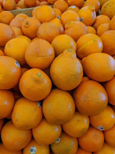 minneola-tangelos-information-recipes-and-facts image