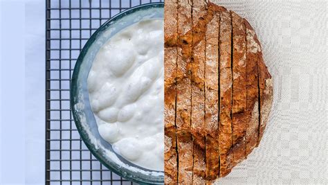 how-to-make-your-own-yeast-for-baking-bread-rachael-ray-show image