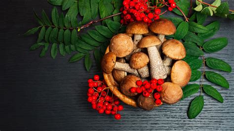 5-traditional-russian-mushroom-dishes image