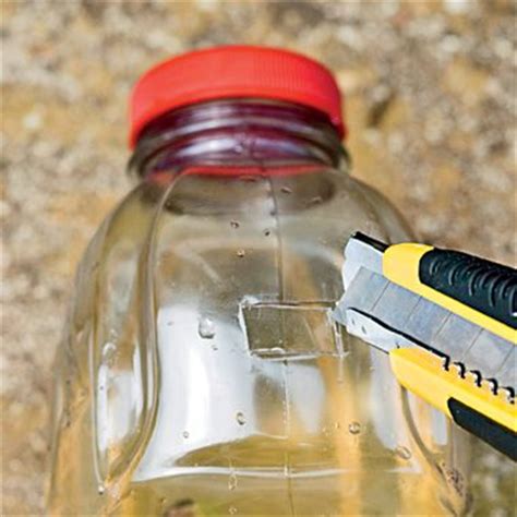 how-to-make-a-yellow-jacket-trap-in-3-simple-steps image