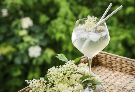 20-delightful-st-germain-elderflower-cocktail image