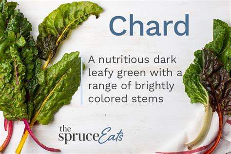 what-is-chard-and-how-is-it-used-the-spruce-eats image